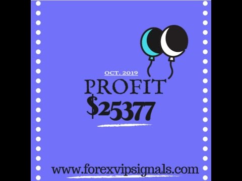 Forex profitability report 2020