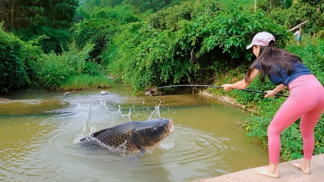 TIMELAPSE - The boys always catches a lot of fish from the village canal | Best fishing trap 😱