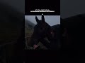#music #walk #nature #lifeisbutadream #youtube #activelifestyle #hunting #wildlife