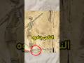هل حنشوف سكوبر غابان قريب 