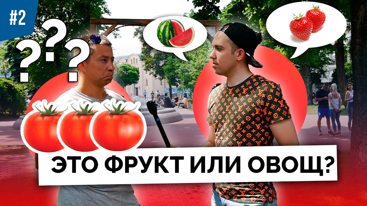 ШКОЛЬНЫЕ ВОПРОСЫ (Помидор - это овощ или фрукт?) ЗА ПАРТОЙ #2 - YouTube