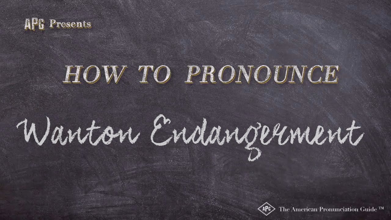 How to Pronounce Wanton Endangerment (Real Life Examples!)