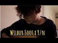 Wilbur Soot x Y/n (new series)