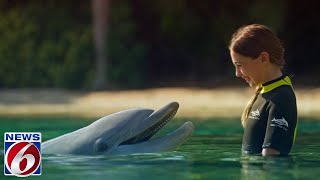 In the Loop: Discovery Cove offers all-new Ultimate VIP Experience