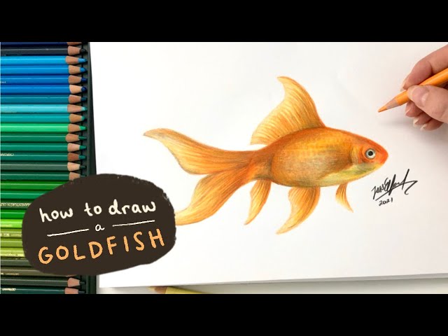 Premium Photo | Goldfish in aquarium 3d rendering Computer digital drawing