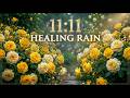 11:11 Gentle Rain, Rain Sounds for Sleeping - Rose Screen to Beat insomnia, Relax, Study