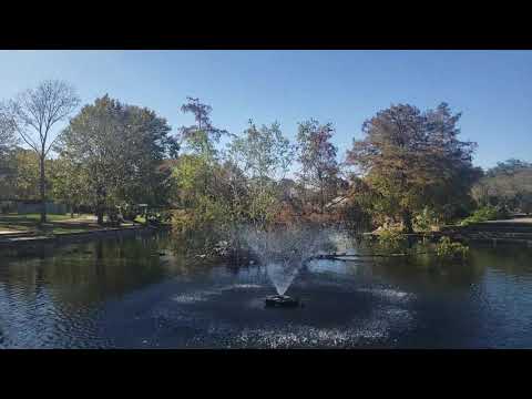 Relaxing Stroll Series:1   Girard Park: Lafayette, Louisiana November 2020 Trip around the Duck Pond