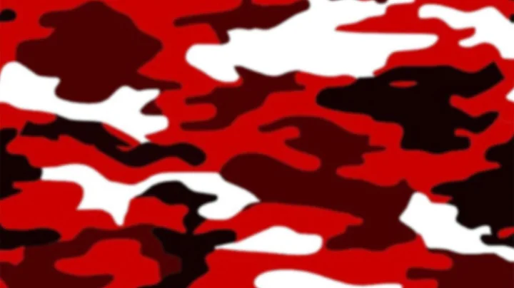 Penfield FLL Qualifier