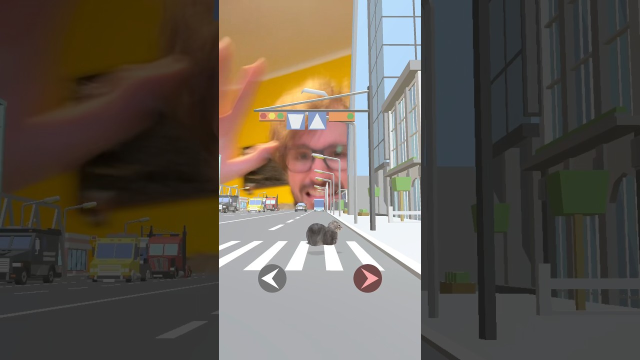 AIUTA IL GATTO ROTEANTE AD ATTRAVERSARE! 😱🐱