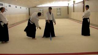 Aikido Principles: Ki - Isometrics and Vectors, part 3 of 4
