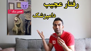 رفتار عجیب دامپزشک