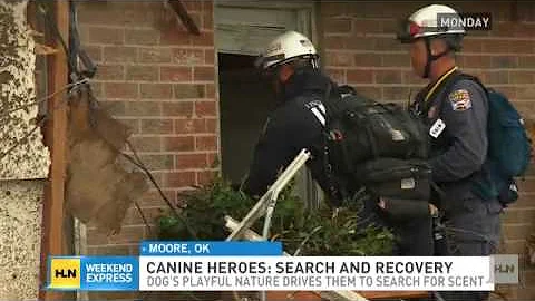 K-9s prove invaluable in the midst of disaster