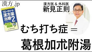 【漢方.JP】むち打ち症=葛根加朮附湯【新見正則が解説】