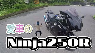 【モトブログ】Ninja250R愛車紹介