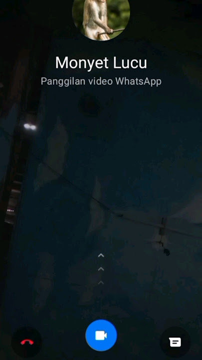 video call dari monyet lucu #shorts #fyp #trending