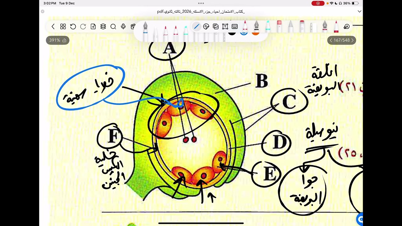 حل اسئلة الاعوام السابقة على النباتات الزهرية 2026