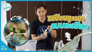 วิธีการป้อนอาหารลูกนกฟอพัส l How To Forpus Ep.05