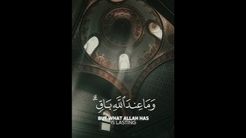 سورة النحل - القارئ عبد الرحمن مسعد ❤️❤️💖💖