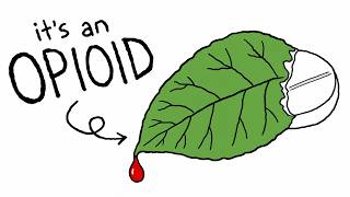 What Gas-Station Kratom Really Does to Your Body