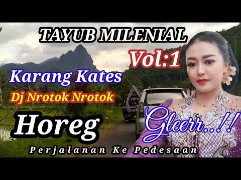 Tayub DJ Nrotok!! Blitar - Banyuwangi - Aning - FEB TAM Music - FEB TAM PROD.