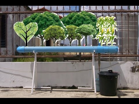 hydroponic garden