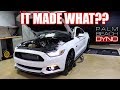 DYNO TUNING THE WHIPPLE S550! ** INSANE RESULTS!!!