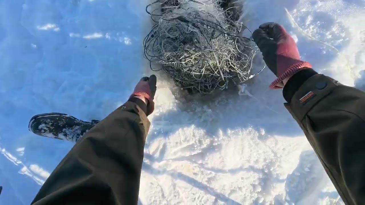 Verkoilla 25.2.2026 Paluu kerhonjäseneksi😬