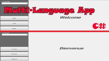 Multi - Language - Application - c# - knowledge