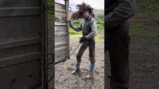 Simple solution to keeping your tailgate open while loading horses and cows.