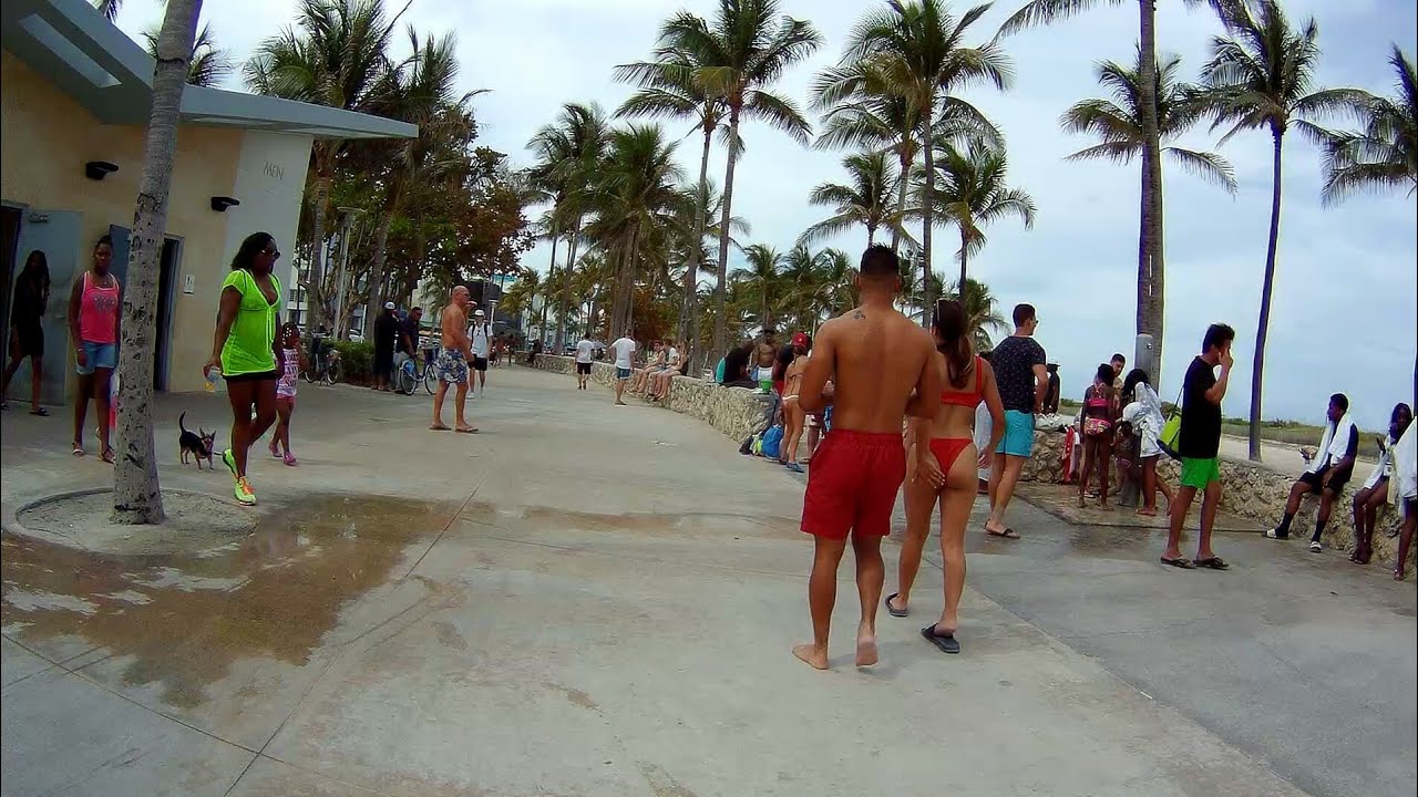 camera iphone 8 plus apk Biking in Lummus Park on South Beach, Miami Beach, Florida