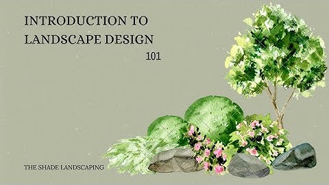 Introduction to landscape design 101
