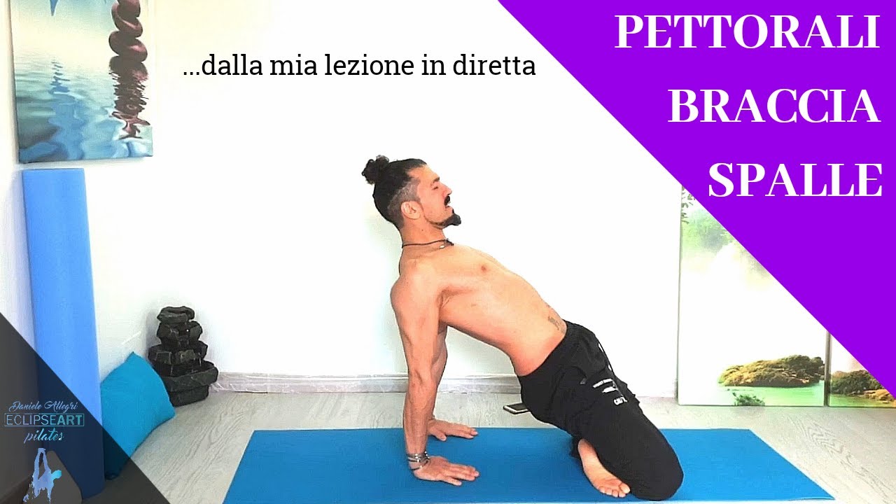 PETTORALI - BRACCIA - SPALLE