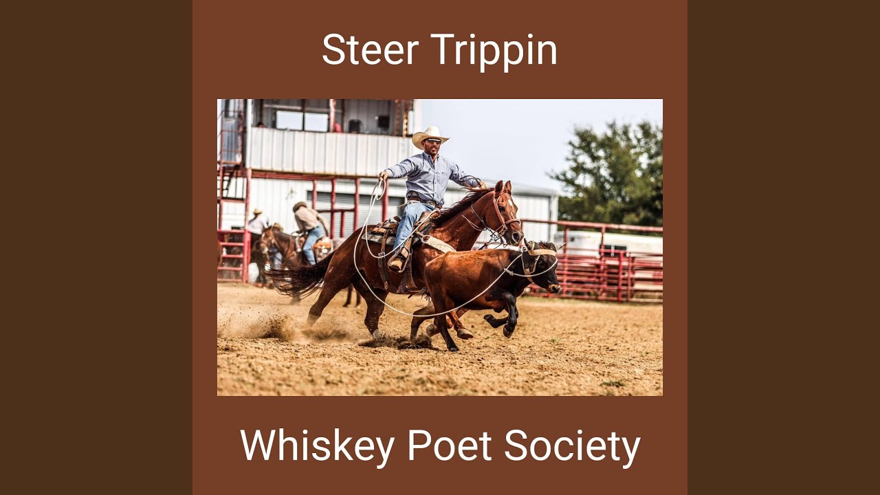 Steer Trippin