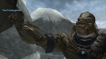 Unused Brute Board Feature