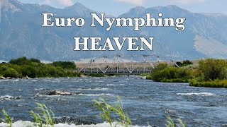 Fishing Montana's Gem:  Euro Nymphing the MADISON RIVER
