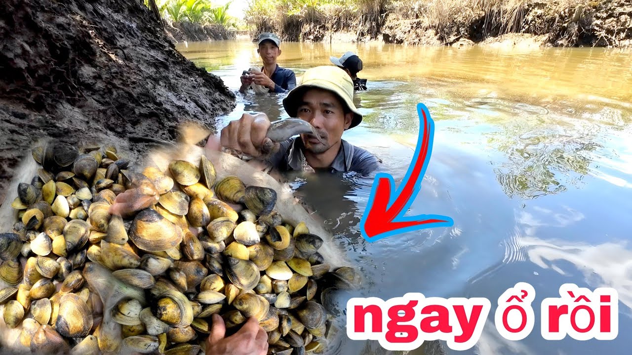 Vào Khe Nhỏ trúng ngay ổ vọp hải sản rừng ngập mặn / Dân Dã TV - YouTube