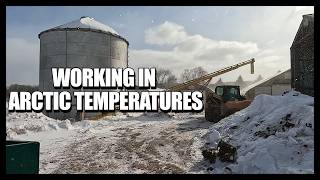 Download Lagu We Fed 26 Horses in -30° Windchill (Worst Weather Yet) MP3