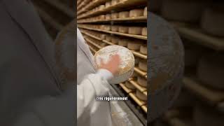 Peut-On Manger La Croûte Des Fromages ?