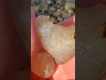 Carnelian and Chalcedony Nodules, Oh My! Episode 4 #shorts