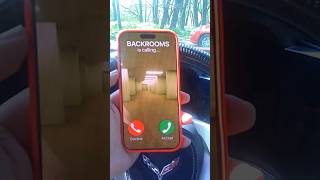 BACKROOMS IS CALLING NIKPIG