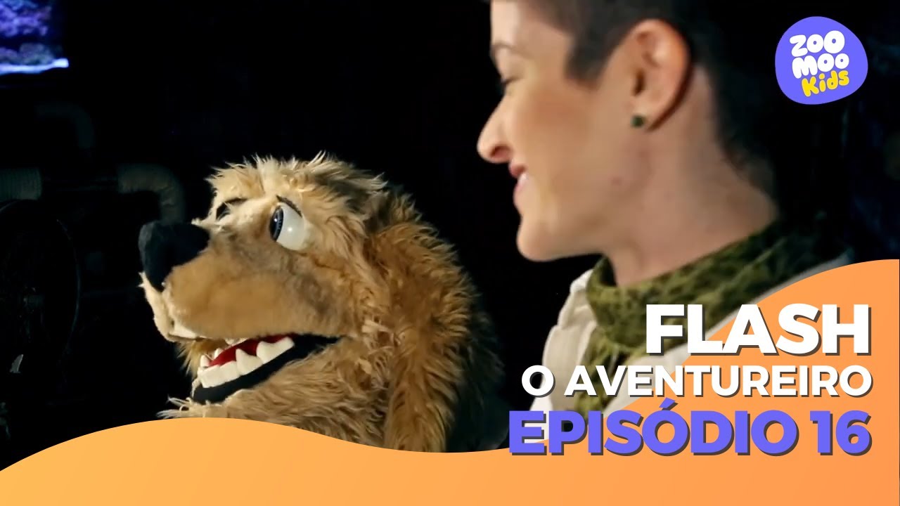 Flash, O Aventureiro | Episódio 16 | ZooMoo Kids - YouTube