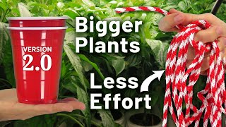 Best Way to Grow Bigger Tomato & Pepper Seedlings  (Upgraded Double Cup Method Hack)