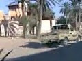 قبيلة النوايل شعر غرب يجوك نوايل