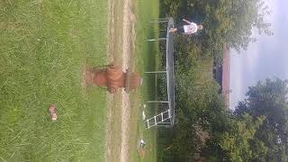 Tramp session part 3