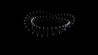 Prime Circle - A Composition for 3+13+11+5 Double Pendulums