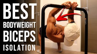 One of the BEST Bodyweight Bicep Exercises | Bodyweight Bicep Curls (CALISTHENICS)