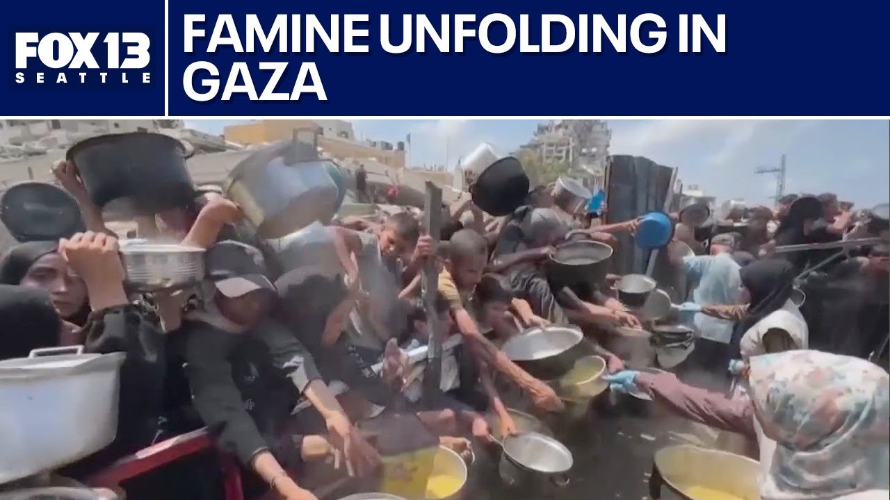 ⁣Famine unfolding in Gaza