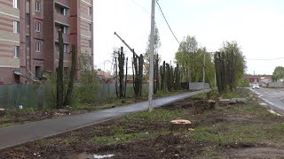 Зеленую зону в с.Семеновка восстановят