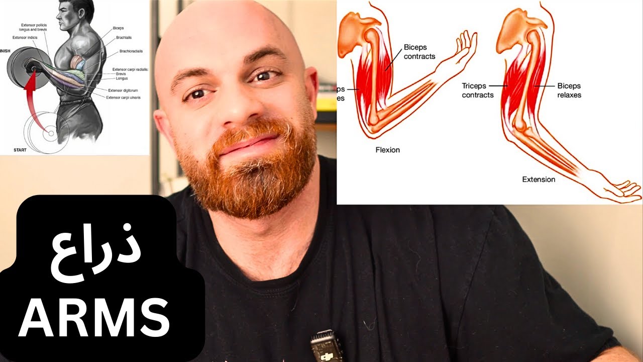 تفعيل عضلات الذراع