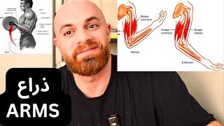 تفعيل عضلات الذراع